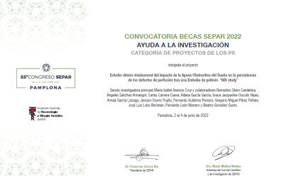 El Estudio NIX recibe varias becas de investigación